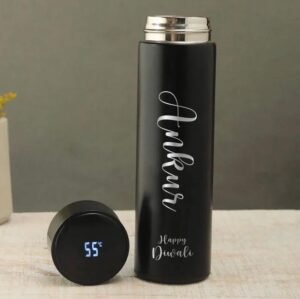 Temperature water bottle